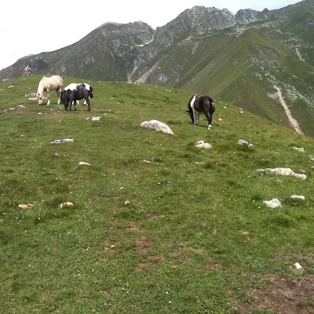 Appartamento Casa Nobiallo