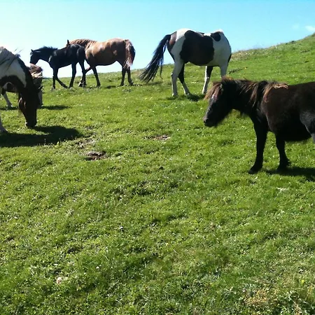 Casa Nobiallo * Menaggio